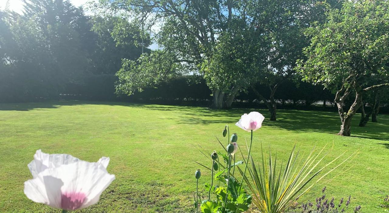 Hope Orchard Bed & Breakfast Cheltenham Exterior photo